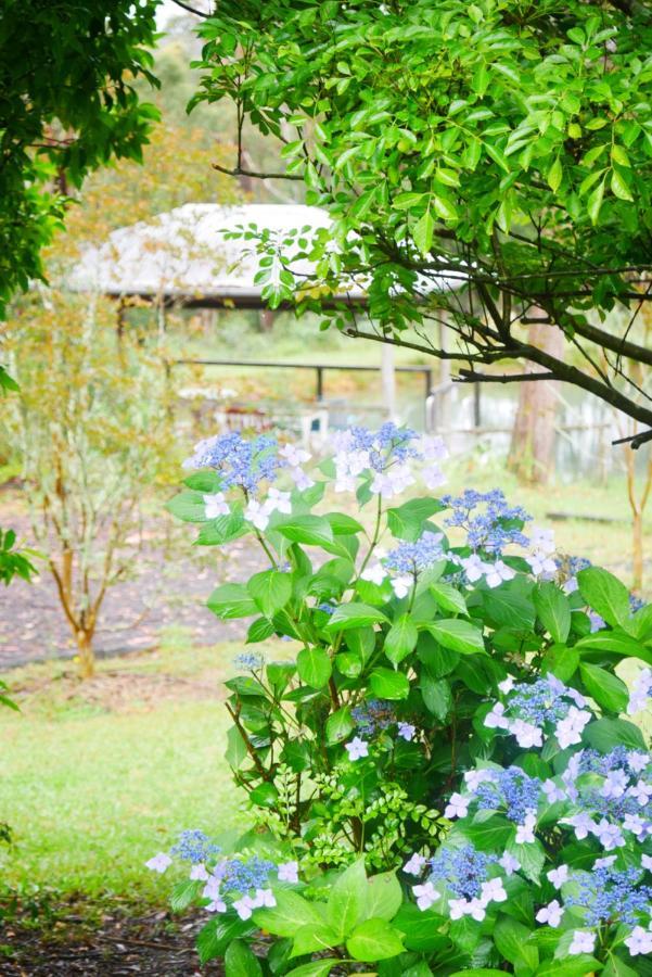 True North - 4Br Home & Garden In Bush Setting With Huge Bath Bilpin Zewnętrze zdjęcie